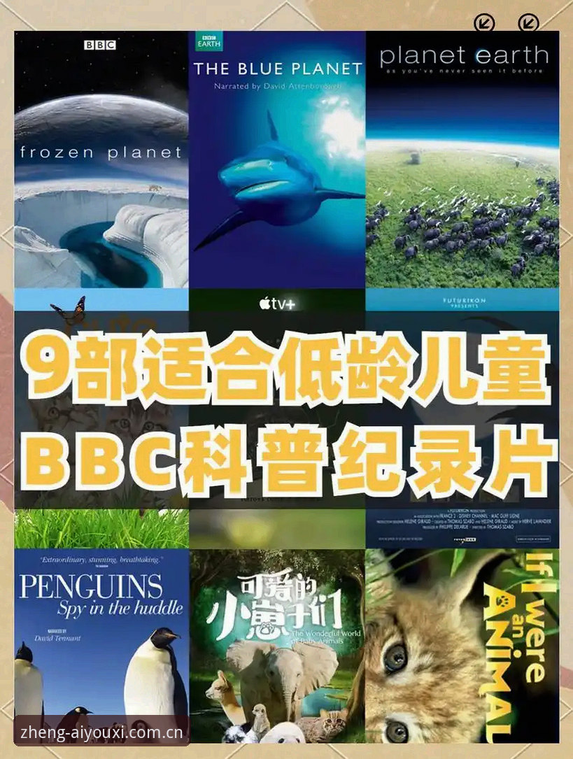 实力认证AC登录页必备 看懂索斯盖特新纪录片,实力认证AC登录页必备的3个实用技巧